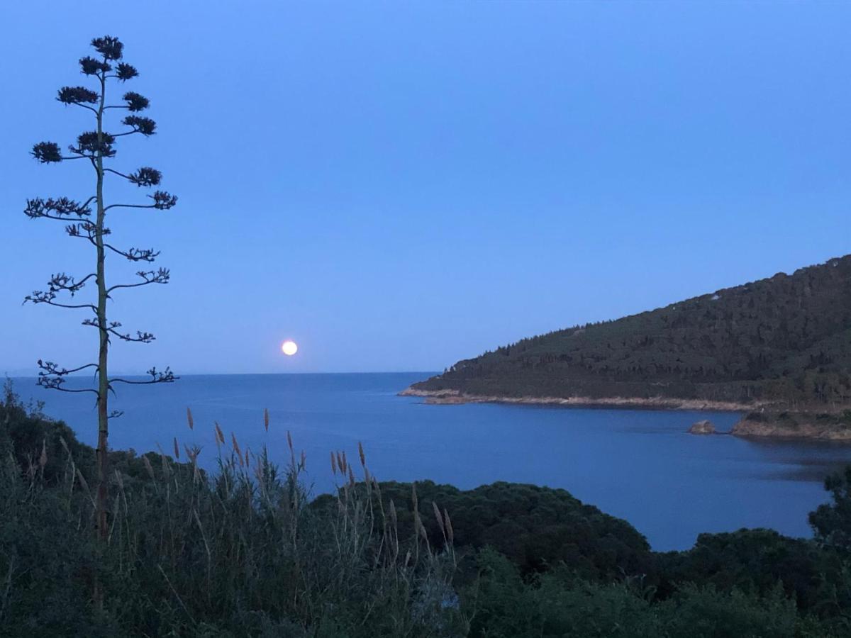 Case Dei Limoni Sul Mare Capoliveri  Extérieur photo