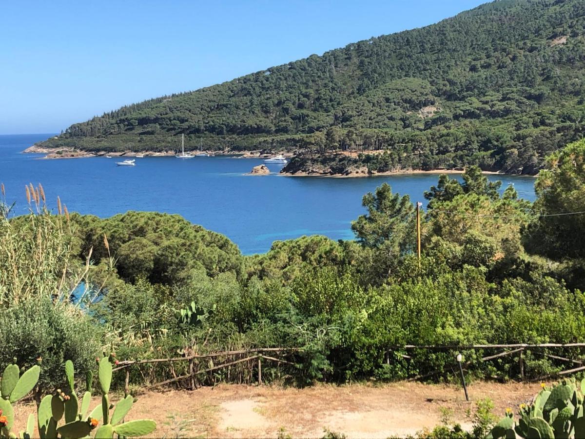 Case Dei Limoni Sul Mare Capoliveri  Extérieur photo