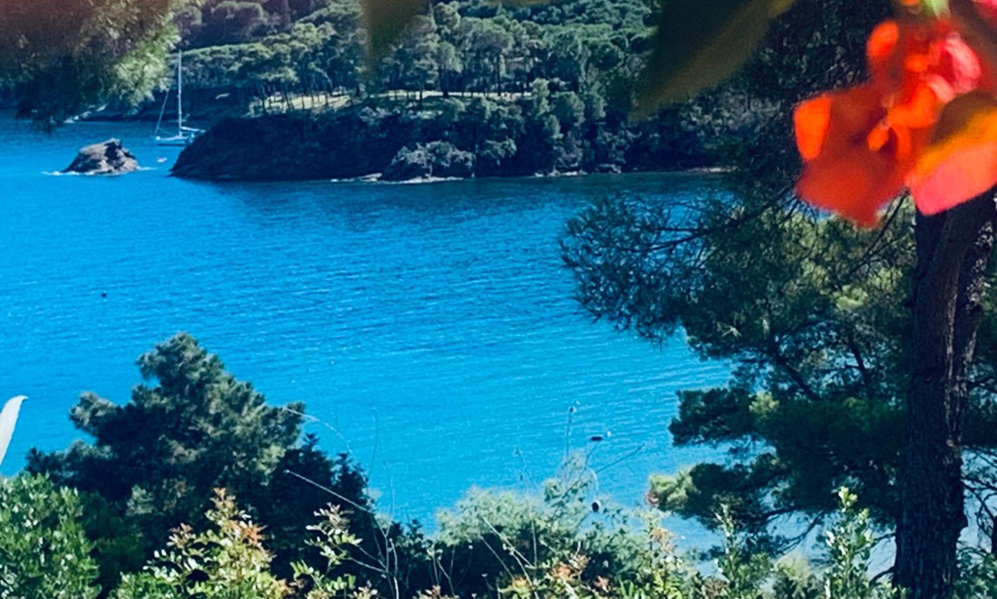 Case Dei Limoni Sul Mare Capoliveri  Extérieur photo